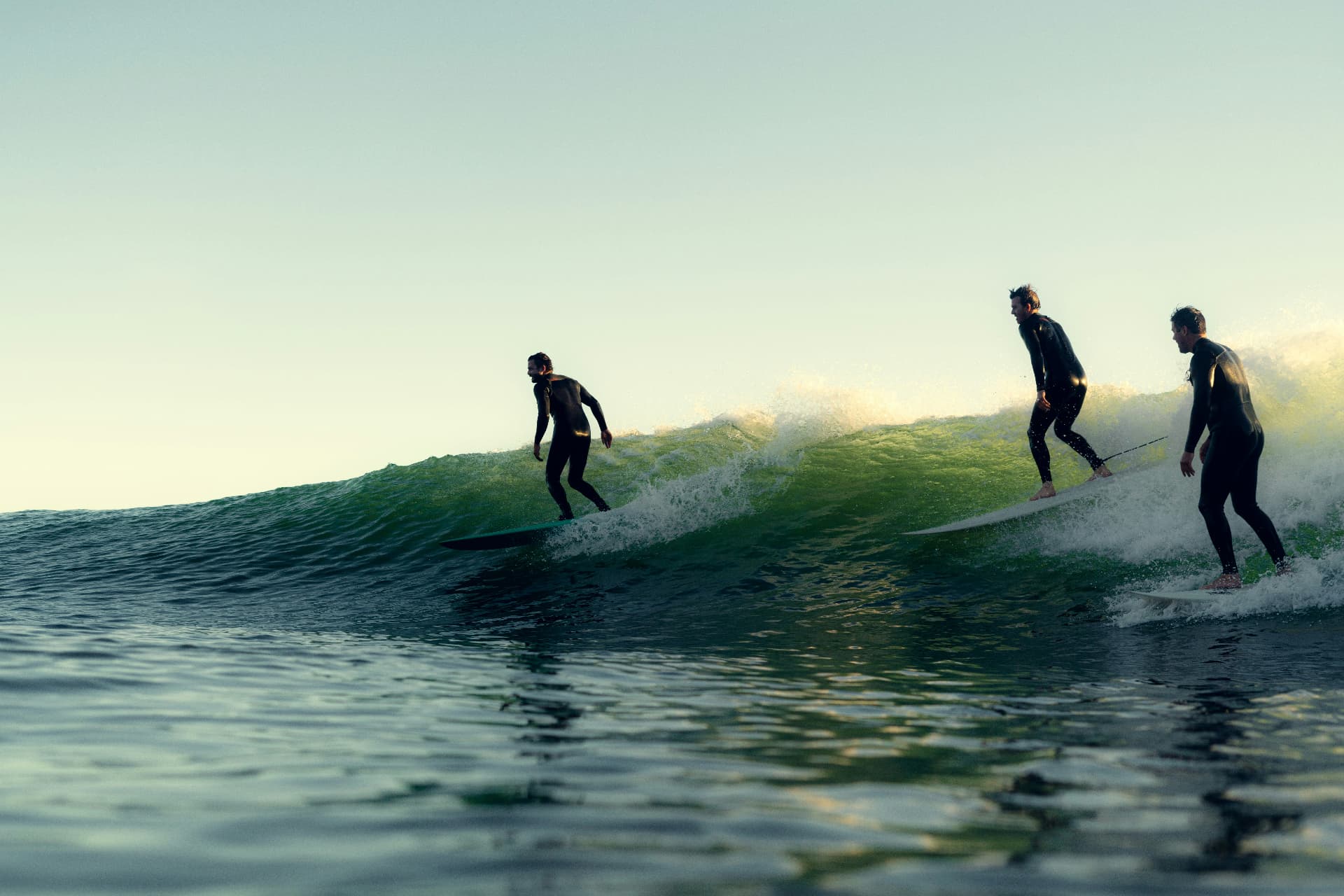 Reversa v2 (1/3): Collaborative: enterprise accounts, permissions..